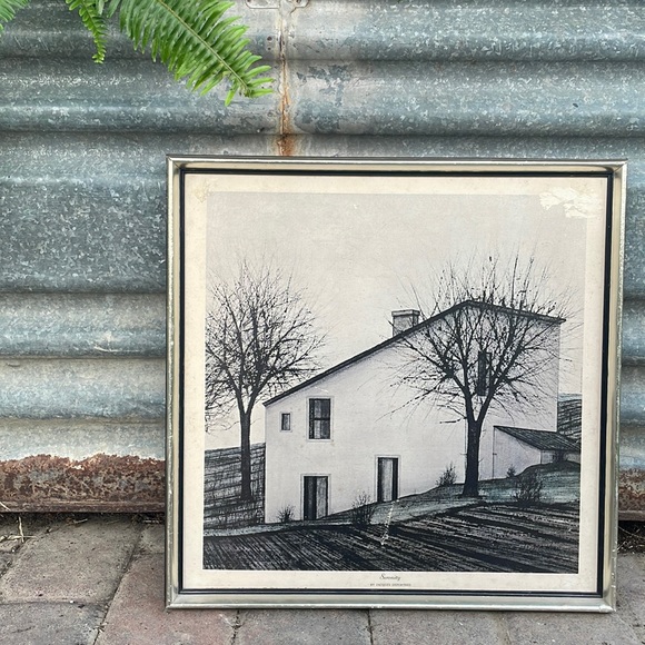 Other - Vintage Serenity Framed Picture